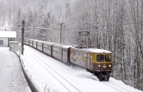 Ötscherbär im Schnee, © NB/ Gozdal